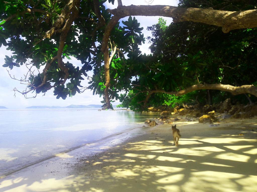 Alam Indah Beach Resort Busuanga Exterior foto