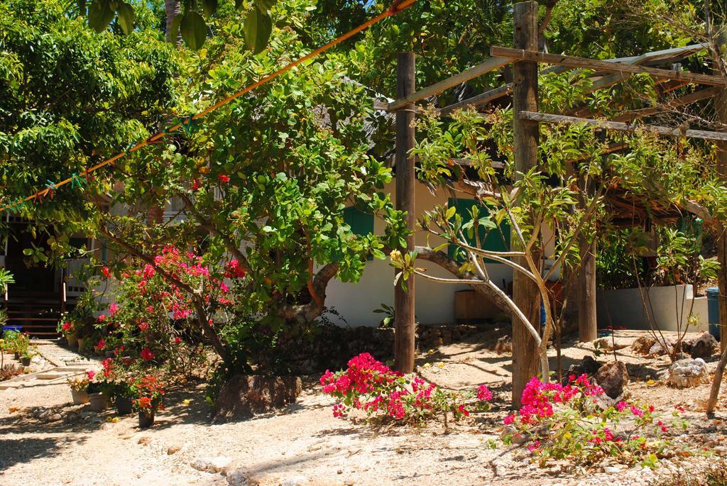 Alam Indah Beach Resort Busuanga Exterior foto